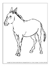 Pferd-2.pdf